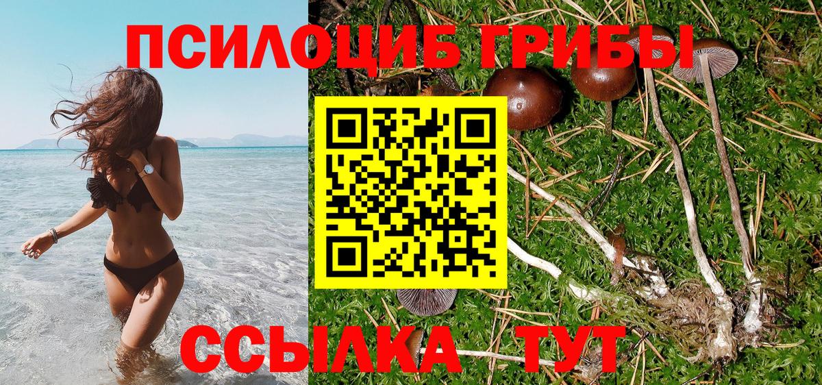 купить закладку  Вход с VPN  Иваново  Галлюциногенные грибы Psilocybe 